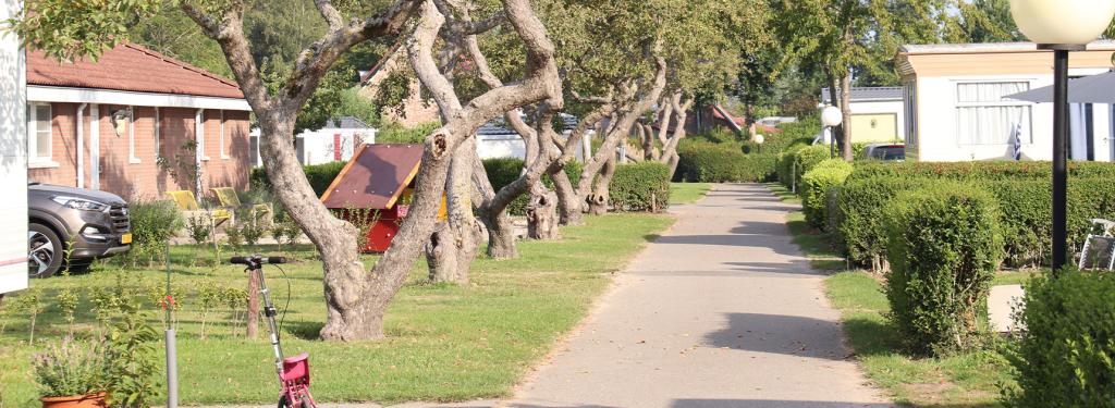 Hébergements au camping In de Bongerd aux Pays-Bas